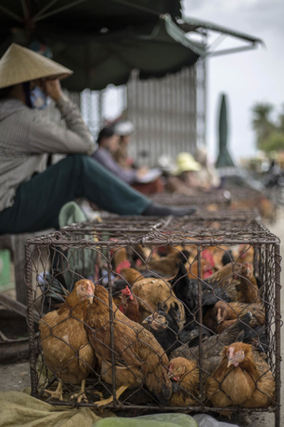 Market Dong Hoi Vietnam