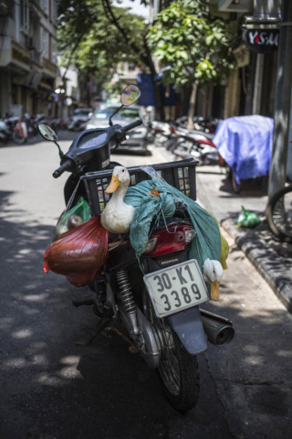 Hanoi Old Quarter Vietnam