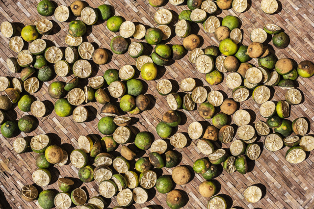 Limes Drying in The Sun Hoi An Ancient Town Vietnam