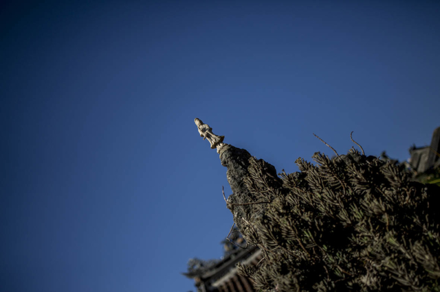 Fujian Temple Hoi An Ancient Town Vietnam