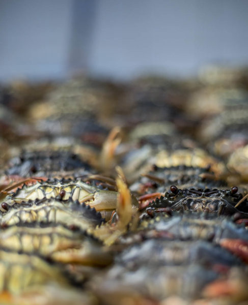 Crabs in Basket Ben Thanh Market Ho Chi Minh City Saigon