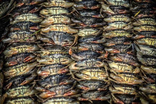 Crabs in Basket Ben Thanh Market Ho Chi Minh City Saigon